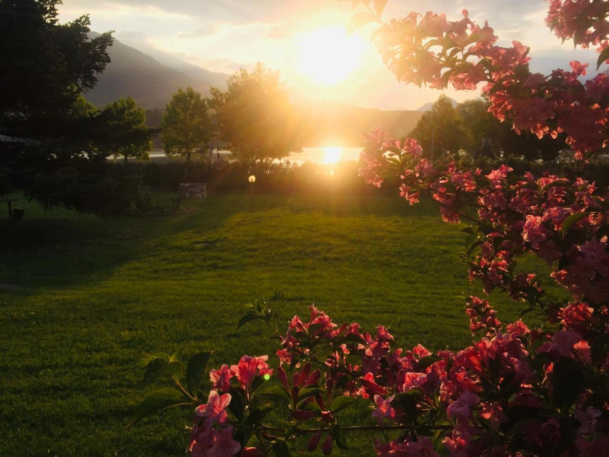Paradiso Sul Lago Calceranica al Lago Εξωτερικό φωτογραφία