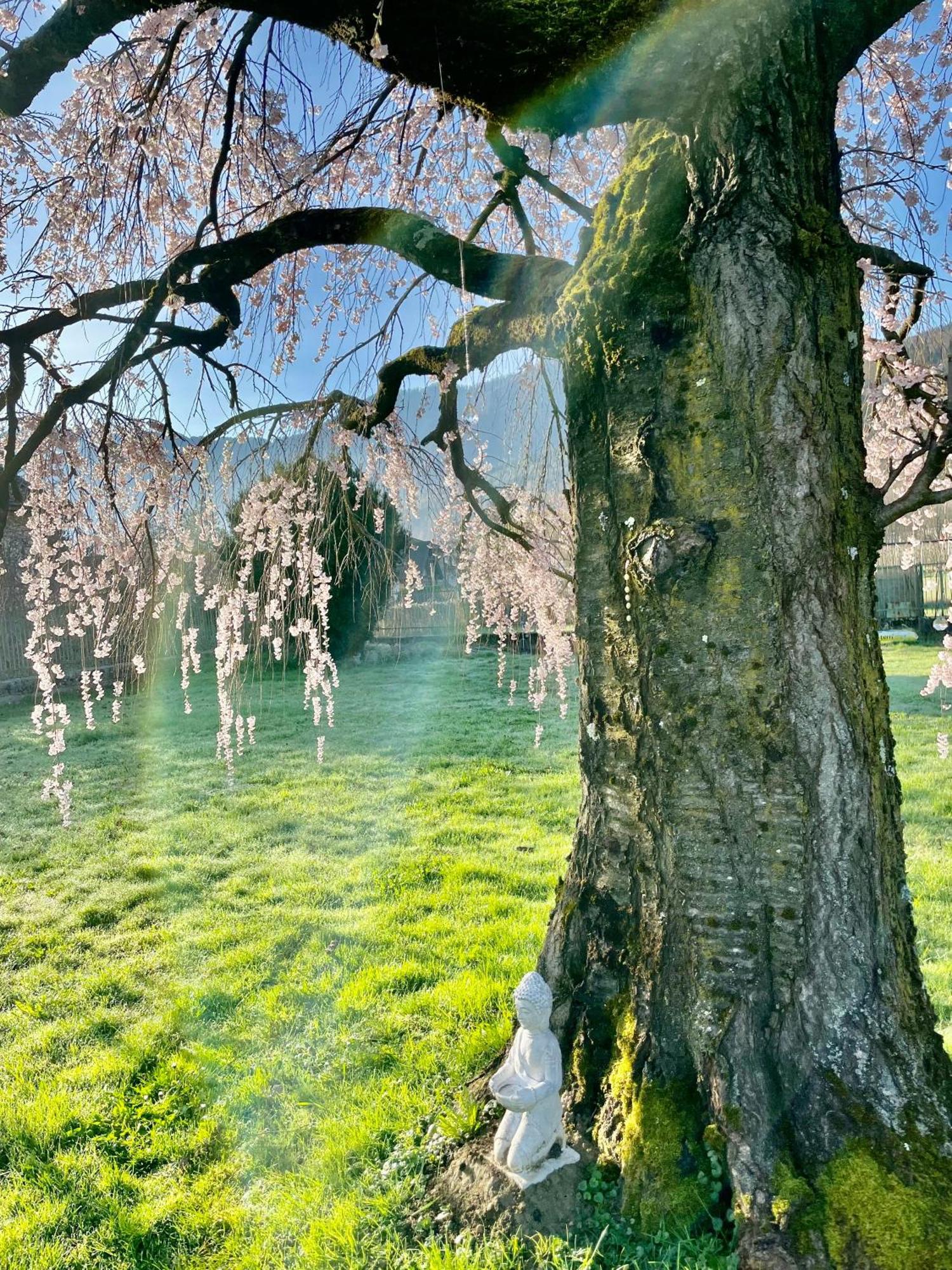 Paradiso Sul Lago Calceranica al Lago Εξωτερικό φωτογραφία
